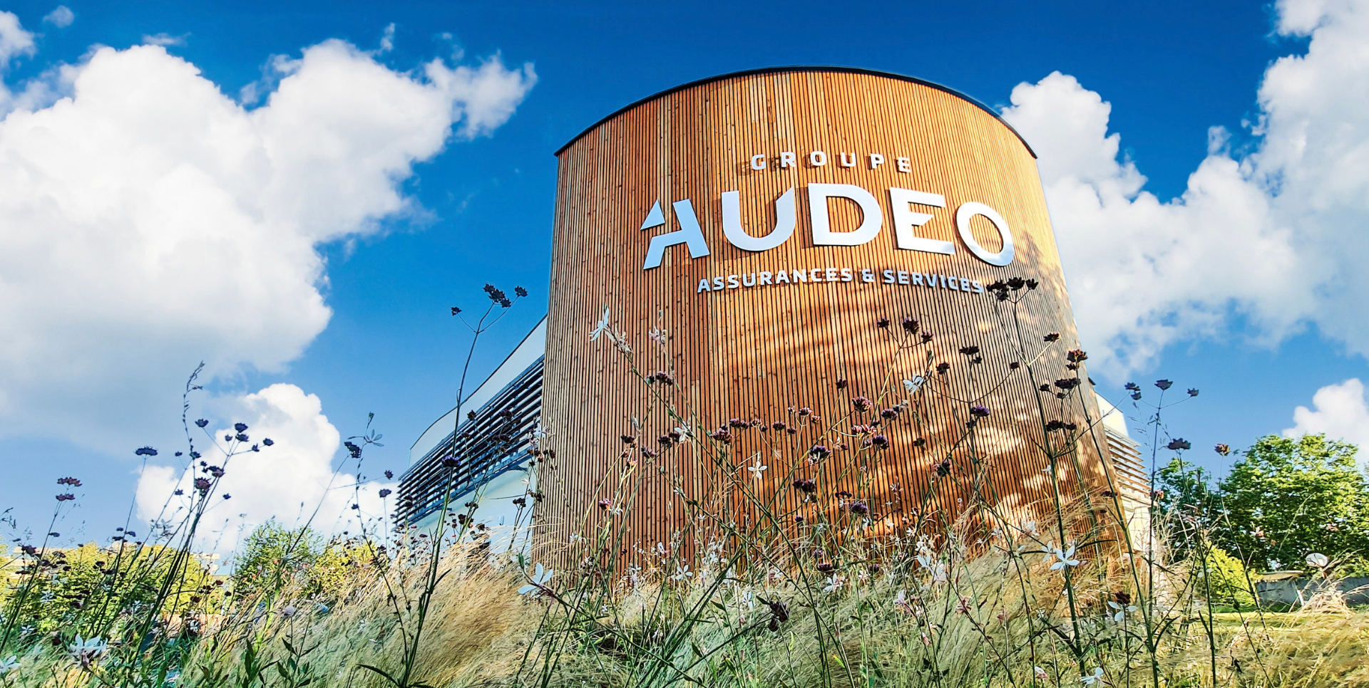 Résultats 2024 : le Groupe Audeo dépasse les 50 M€ de chiffres d’affaires